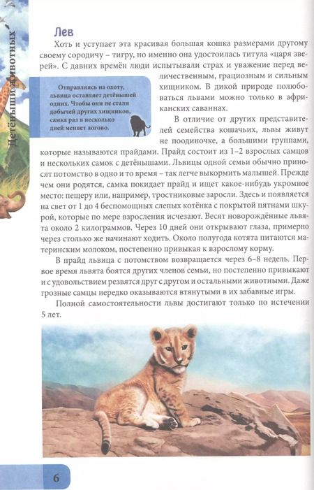 Фотография книги "Людмила Соколова: ЭНЦИКЛОПЕДИЯ. В МИРЕ ЗНАНИЙ. ДЕТЁНЫШИ ЖИВОТНЫХ"