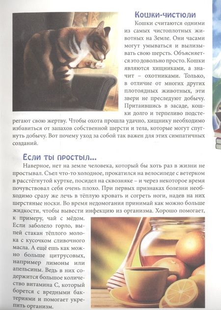 Фотография книги "Людмила Соколова: ЭНЦИКЛОПЕДИЯ. В МИРЕ ЗНАНИЙ. ОБО ВСЁМ НА СВЕТЕ"