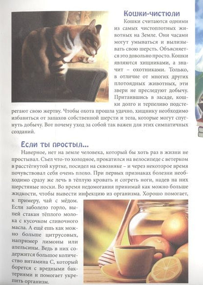Фотография книги "Людмила Соколова: ЭНЦИКЛОПЕДИЯ. В МИРЕ ЗНАНИЙ. ОБО ВСЁМ НА СВЕТЕ"
