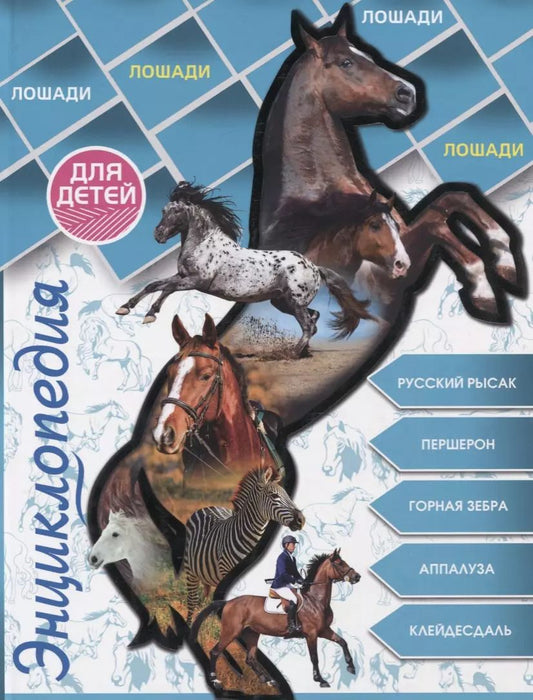 Обложка книги "Людмила Соколова: Лошади"