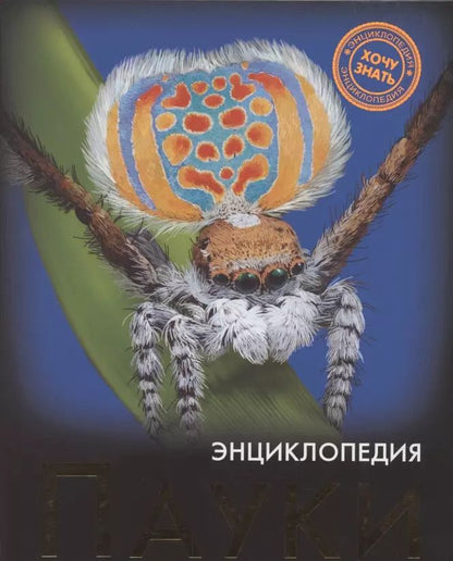Обложка книги "Людмила Соколова: Пауки: энциклопедия"