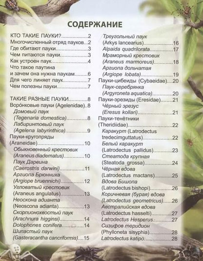 Фотография книги "Людмила Соколова: Пауки: энциклопедия"
