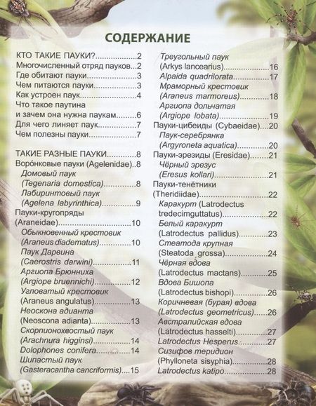 Фотография книги "Людмила Соколова: Пауки: энциклопедия"