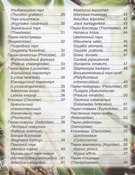 Фотография книги "Людмила Соколова: Пауки: энциклопедия"