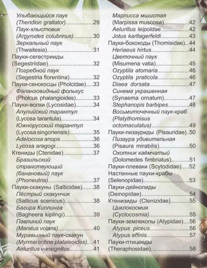 Фотография книги "Людмила Соколова: Пауки: энциклопедия"