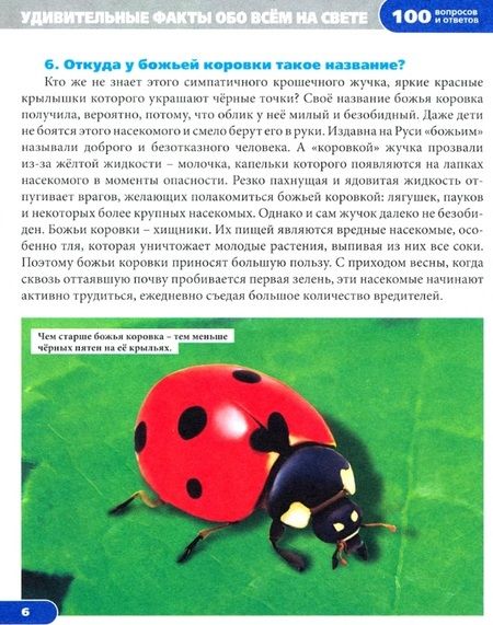 Фотография книги "Людмила Соколова: Удивительные факты. Энциклопедия"