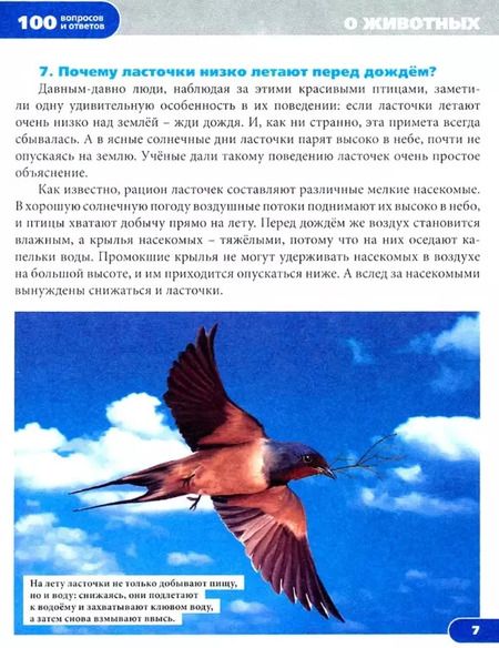Фотография книги "Людмила Соколова: Удивительные факты. Энциклопедия"