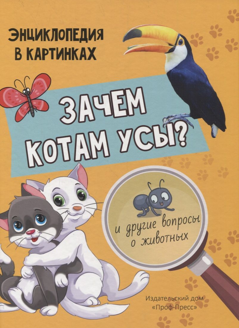 Обложка книги "Людмила Соколова: Зачем котам усы? И другие вопросы о животных. Энциклопедия в картинках"