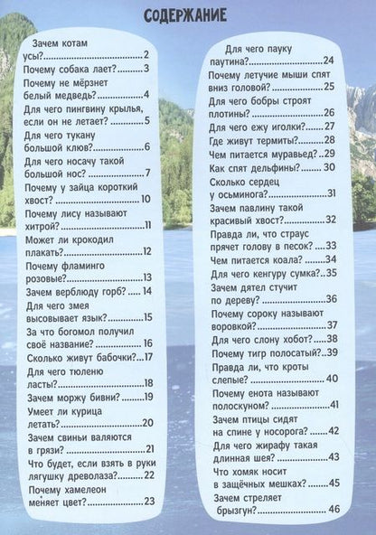 Фотография книги "Людмила Соколова: Зачем котам усы? И другие вопросы о животных. Энциклопедия в картинках"