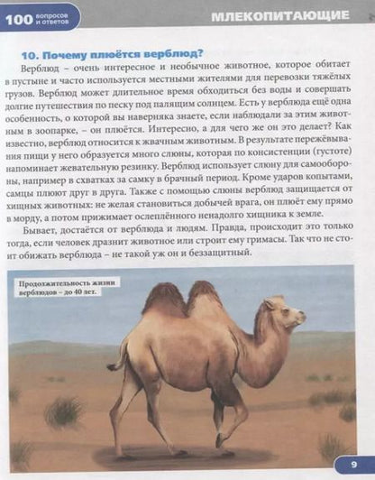 Фотография книги "Людмила Соколова: Животный мир. Энциклопедия"