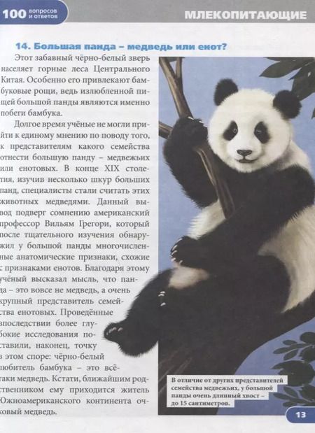 Фотография книги "Людмила Соколова: Животный мир. Энциклопедия"