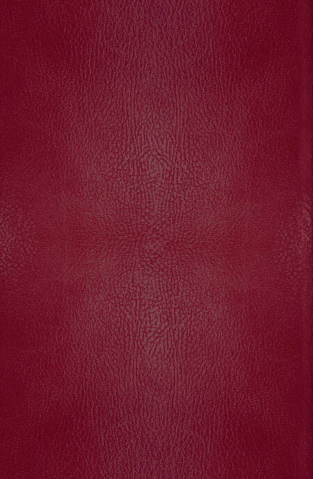 Фотография книги "Льюис: Хроники Нарнии. Начало истории"