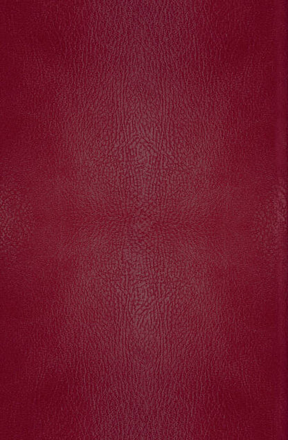 Фотография книги "Льюис: Хроники Нарнии. Начало истории"