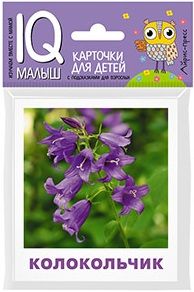 Обложка книги "М. Малунова: Умный малыш. Что растёт на клумбе?"