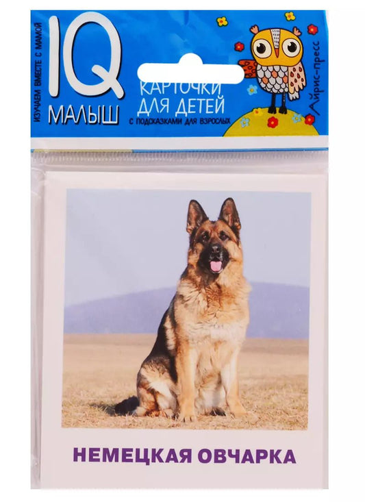 Обложка книги "М. Малунова: Умный малыш. Породы собак. Набор карточек для детей"