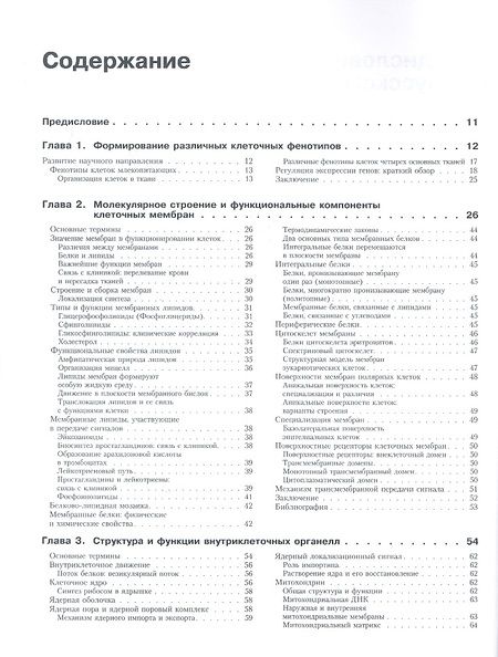 Фотография книги "М., Шилдс: Молекулярная биология клетки: Руководство для врачей"