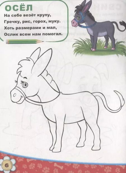 Фотография книги "М. Сорокина: Домашние животные"