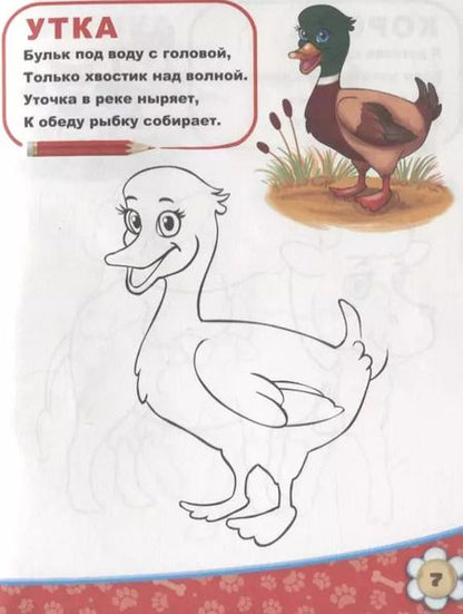 Фотография книги "М. Сорокина: Домашние животные"