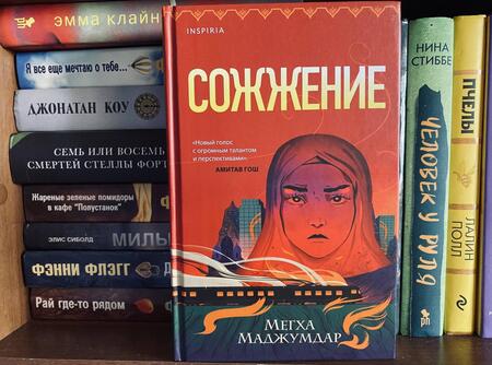 Фотография книги "Маджумдар: Сожжение"