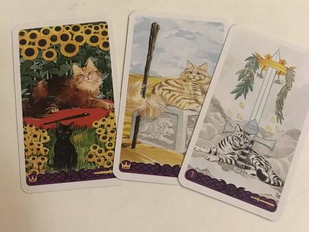 Фотография книги "Magdelina Messina: Мини Таро Языческих кошек. 78 карт"