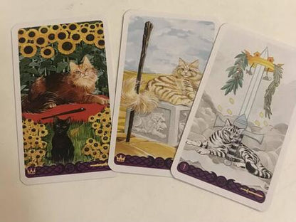 Фотография книги "Magdelina Messina: Мини Таро Языческих кошек. 78 карт"