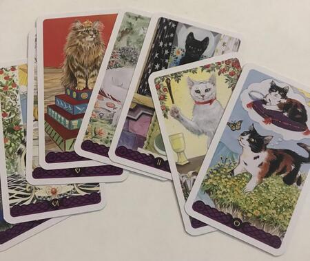 Фотография книги "Magdelina Messina: Мини Таро Языческих кошек. 78 карт"