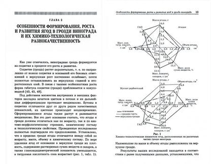 Фотография книги "Магомедмирза Магомедов: Виноград. Основы технологии хранения. Учебное пособие"