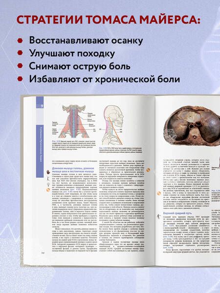 Фотография книги "Майерс: Анатомические поезда"