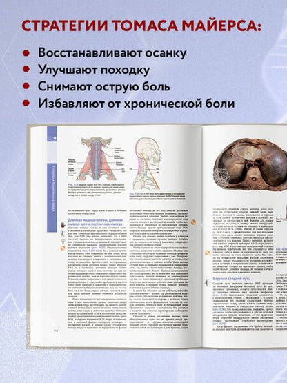 Фотография книги "Майерс: Анатомические поезда"