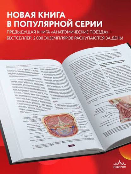 Фотография книги "Майерс, Эрлз: Фасциальный релиз для структурного баланса"