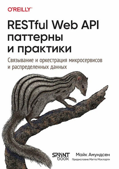 Обложка книги "Майк Амундсен: RESTful Web API паттерны и практики"