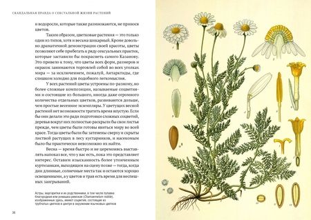 Фотография книги "Майкл Аллаби: Скандальная правда о сексуальной жизни растений"