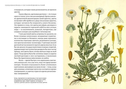 Фотография книги "Майкл Аллаби: Скандальная правда о сексуальной жизни растений"