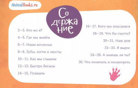 Фотография книги "Майя Кучерская: Я ёж"