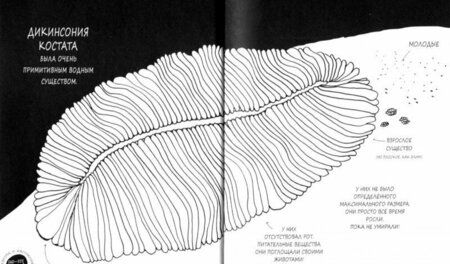 Фотография книги "Майя Сэфстрем: Истории о древних животных в картинках"