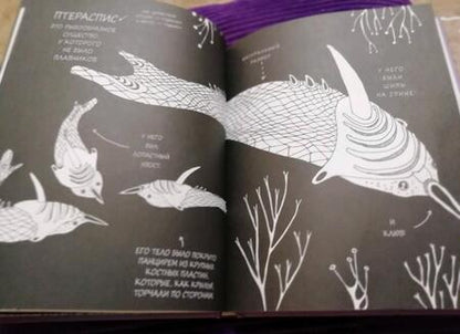 Фотография книги "Майя Сэфстрем: Истории о древних животных в картинках"