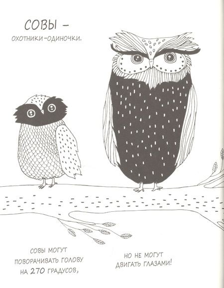 Фотография книги "Майя Сэфстрем: Милые истории о животных в картинках"