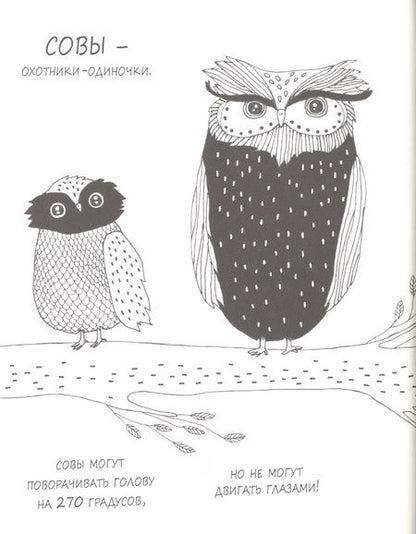 Фотография книги "Майя Сэфстрем: Милые истории о животных в картинках"