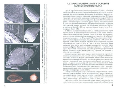 Фотография книги "Макаров, Макарова, Бердышева: Способы получения растительного сырья кровохлебки лекарственной. Монография"