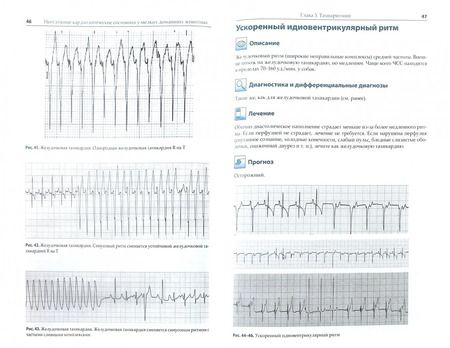 Фотография книги "МакМайкл, Фрайз: Неотложные кардиологические состояния у мелких домашних животных. Диагностика и лечение"