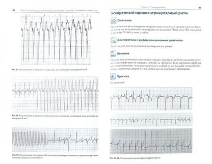 Фотография книги "МакМайкл, Фрайз: Неотложные кардиологические состояния у мелких домашних животных. Диагностика и лечение"