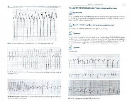 Фотография книги "МакМайкл, Фрайз: Неотложные кардиологические состояния у мелких домашних животных. Диагностика и лечение"