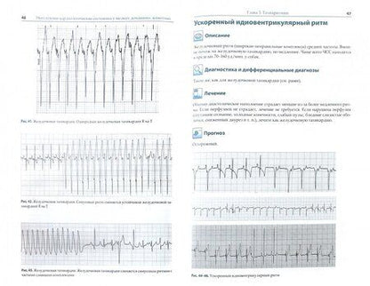 Фотография книги "МакМайкл, Фрайз: Неотложные кардиологические состояния у мелких домашних животных. Диагностика и лечение"