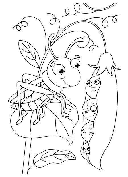 Фотография книги "МАКСИ-РАСКРАСКА. В МИРЕ БУКАШЕК"