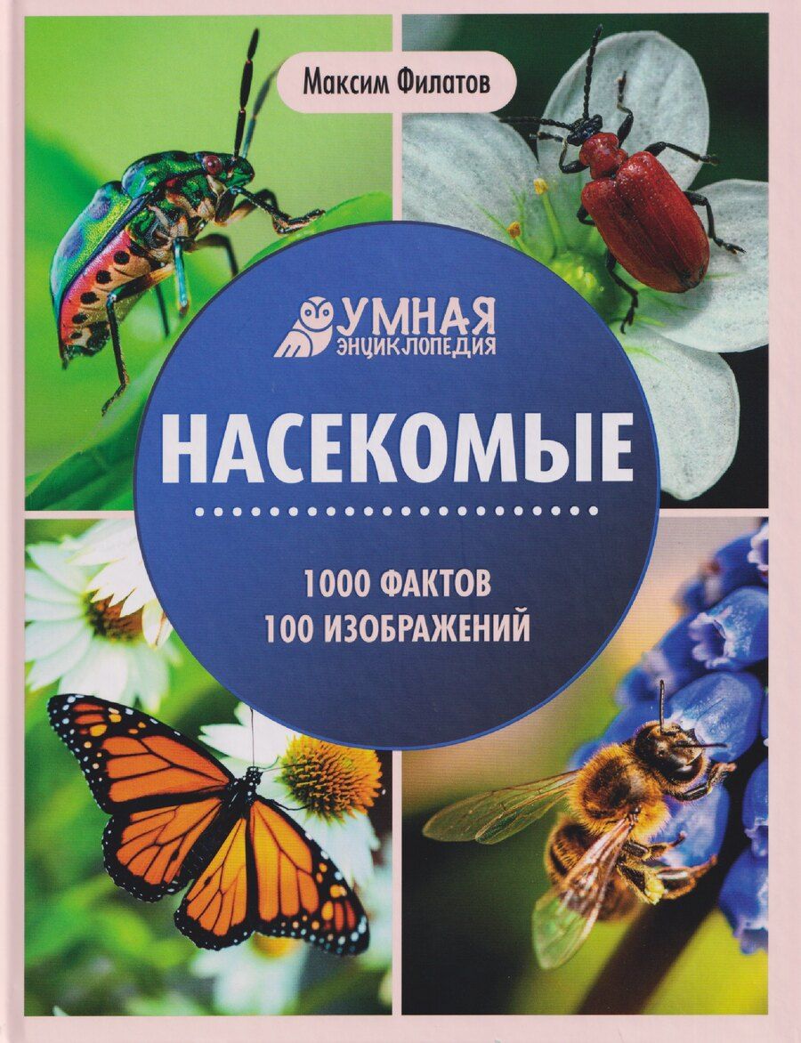 Обложка книги "Максим Алексеевич: Насекомые: энциклопедия"