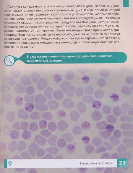 Фотография книги "Максим Алексеевич: Насекомые: энциклопедия"