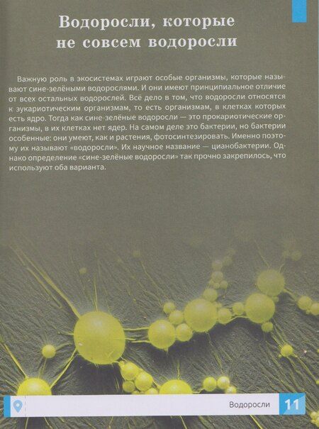 Фотография книги "Максим Алексеевич: Растения: энциклопедия"