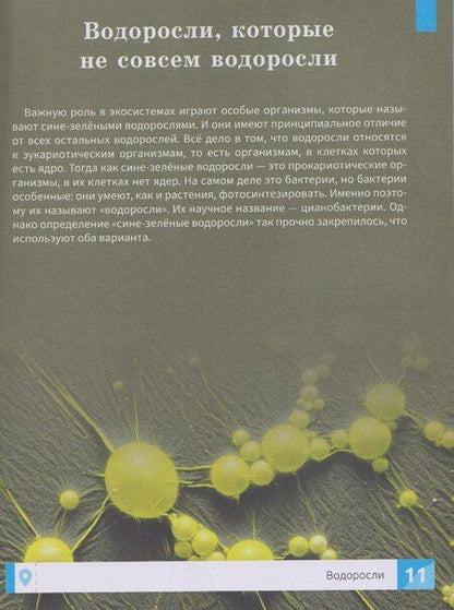 Фотография книги "Максим Алексеевич: Растения: энциклопедия"