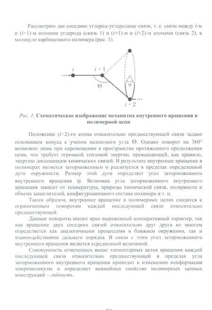 Фотография книги "Максим Аржаков: Химия и физика полимеров. Краткий словарь. Учебное пособие"