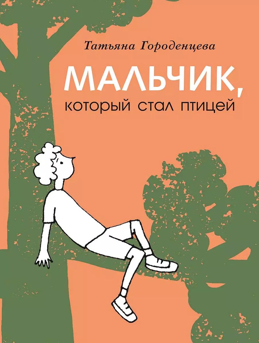 Обложка книги "Мальчик, который стал птицей"
